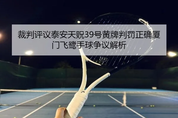 裁判评议泰安天贶39号黄牌判罚正确厦门飞鹭手球争议解析